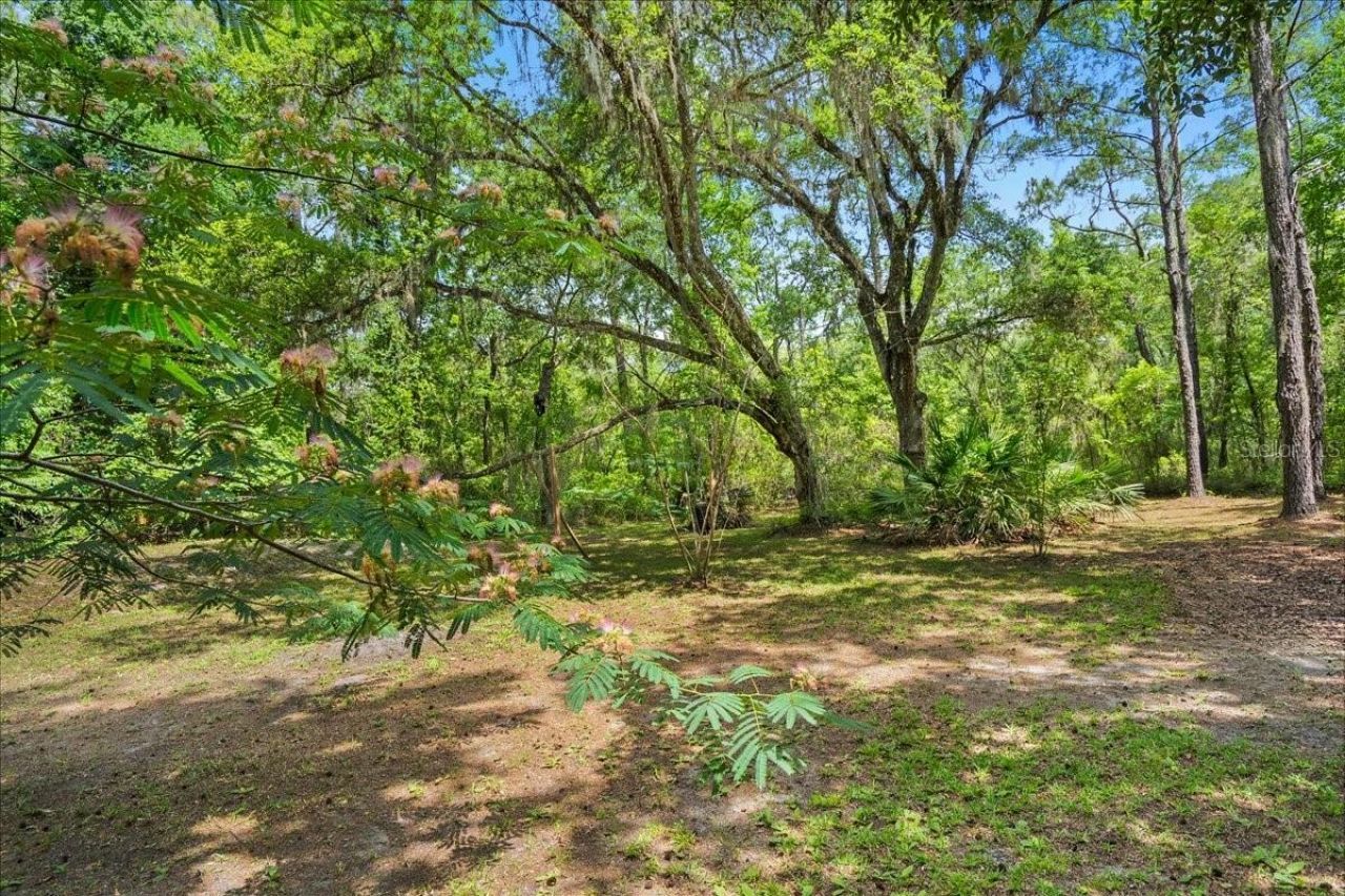 5526 Don Manuel Road , Elkton, FL 32033 Photo