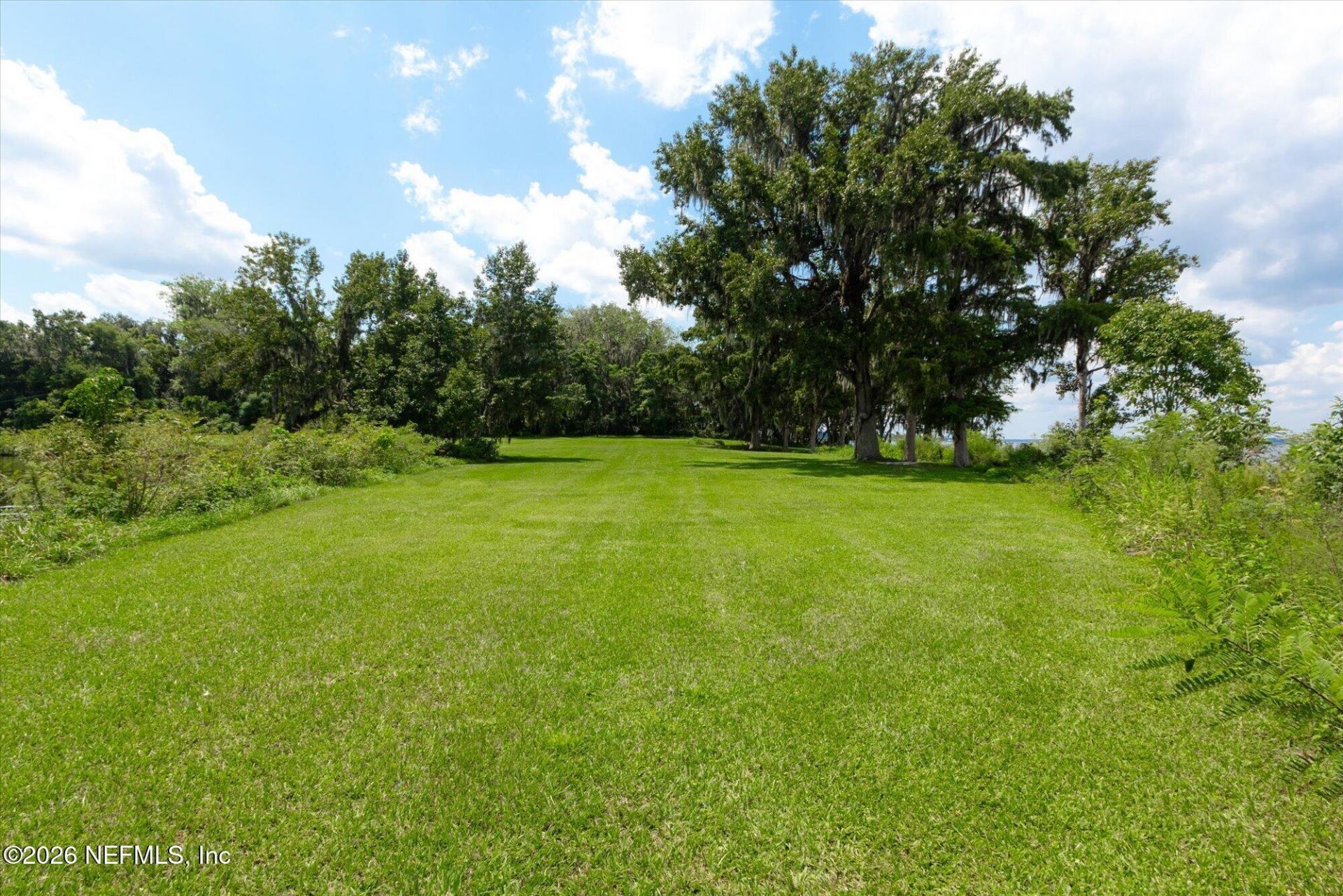 Tbd Million Street, East Palatka, FL 32131 Photo