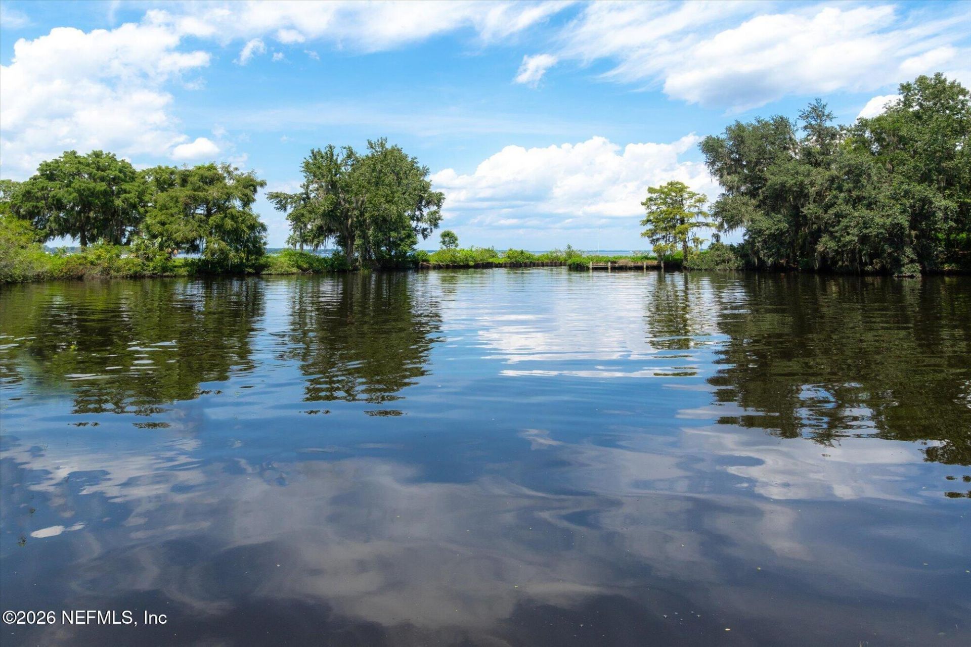 Tbd Million Street, East Palatka, FL 32131 Photo