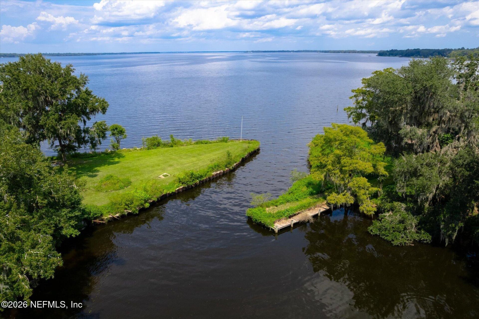 Tbd Million Street, East Palatka, FL 32131 Photo