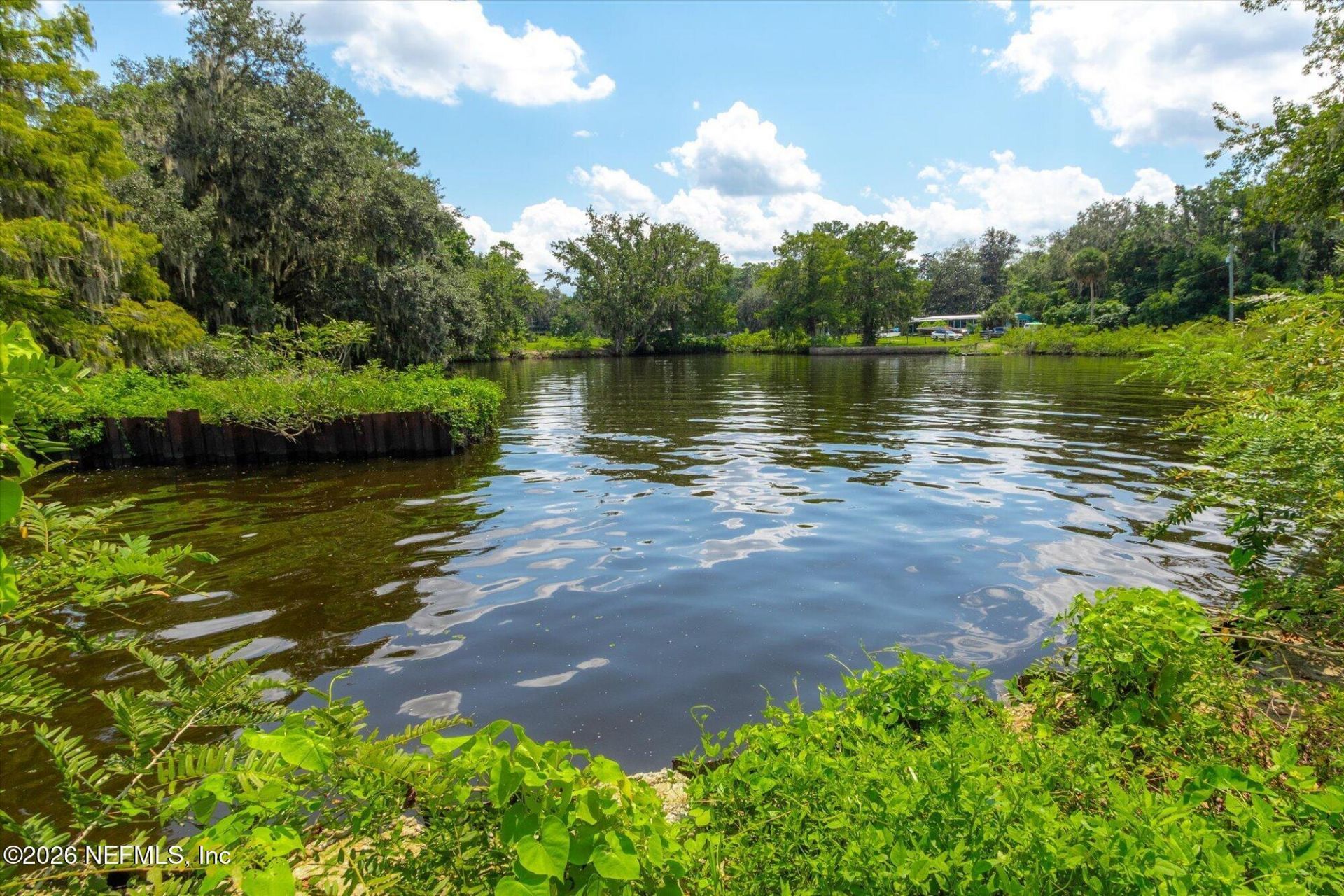Tbd Million Street, East Palatka, FL 32131 Photo