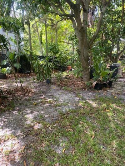 425 NW 7th, Fort Lauderdale, FL 33311 Photo