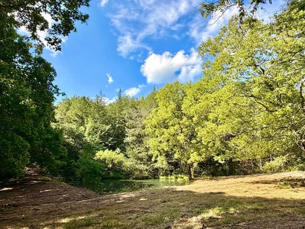 877 Hanna Branch Rd , Prospect, TN 38477