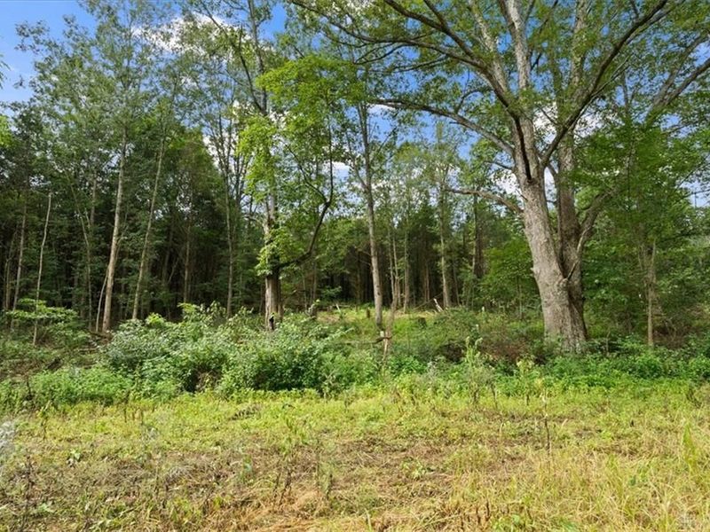 8525 Dunham Road, Hillsboro, OH 45133 Photo 34