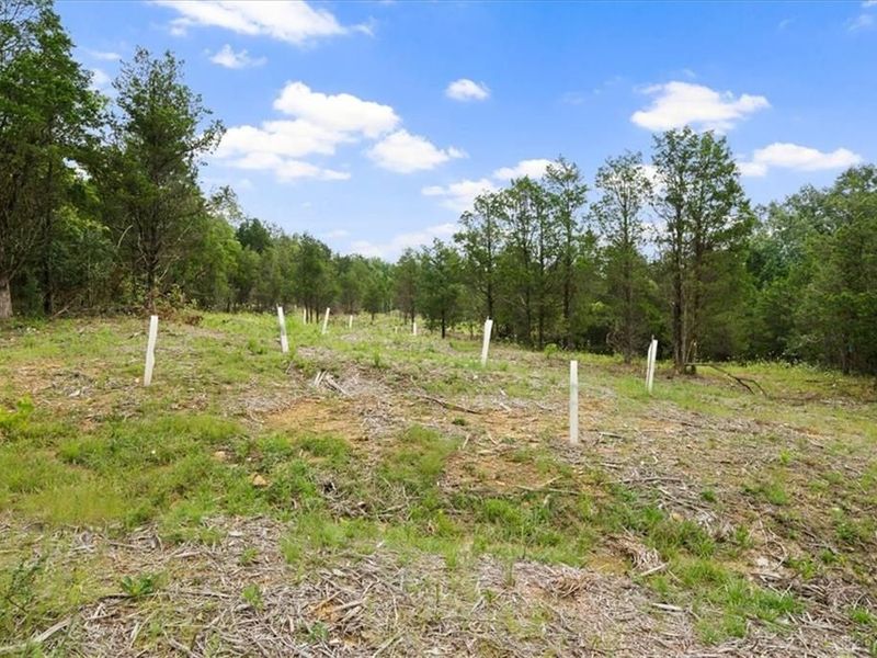 8525 Dunham Road, Hillsboro, OH 45133 Photo 35