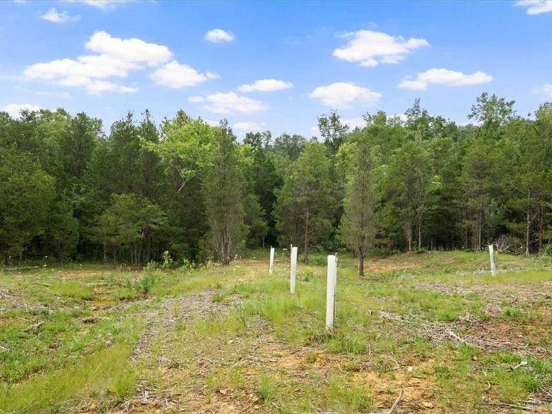 8525 Dunham Road, Hillsboro, OH 45133 Photo 36