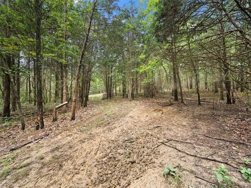 8525 Dunham Road, Hillsboro, OH 45133 Photo 45