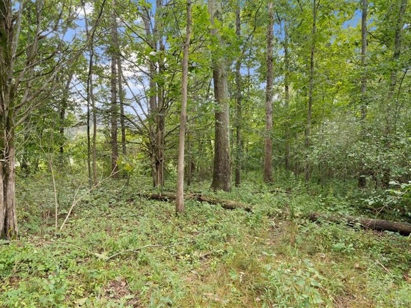 8525 Dunham Road, Hillsboro, OH 45133 Photo 46