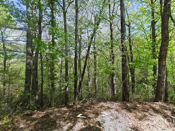 0 Buzzards Place , Lake Lure, NC 28746