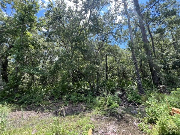Tbd FRANKLIN Drive, Crawfordville, FL 32327