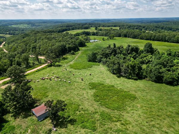 000 Grimes Mill Drive, Mountain Grove, MO 65711
