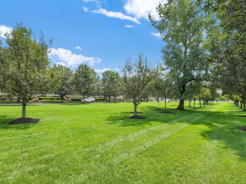 3721 Fish Hawk Landing, Unit 17, Columbus, OH 43230 Photo 39