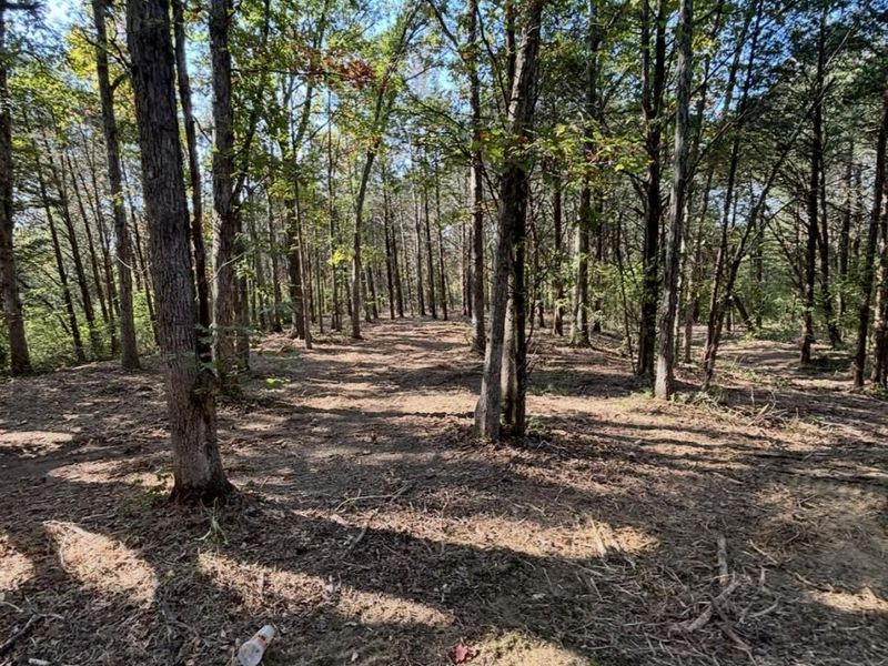 8000 Taft HWY, Dry Ridge, KY 41035 Photo 2