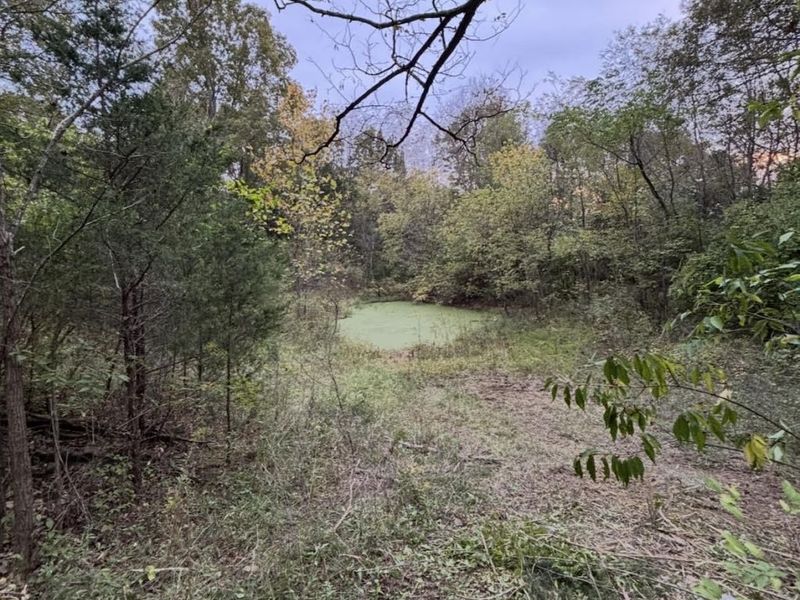 8000 Taft HWY, Dry Ridge, KY 41035 Photo 3