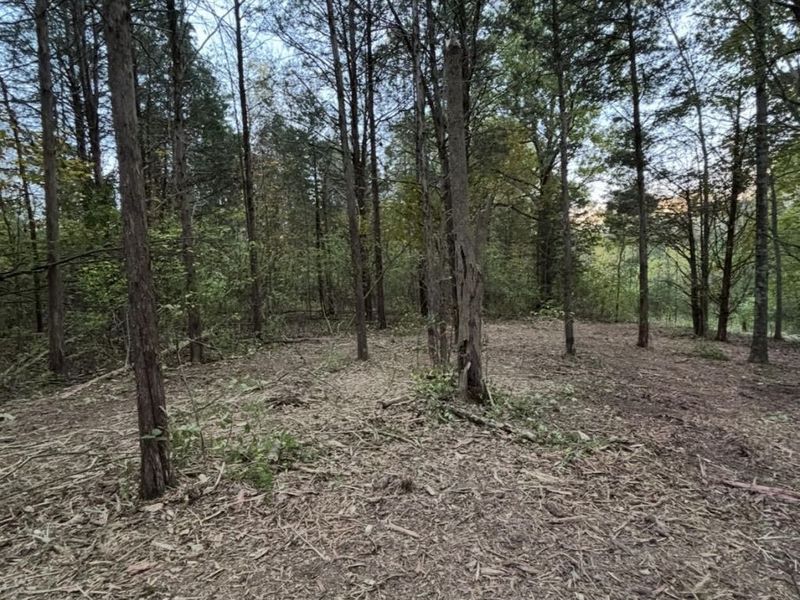 8000 Taft HWY, Dry Ridge, KY 41035 Photo 6