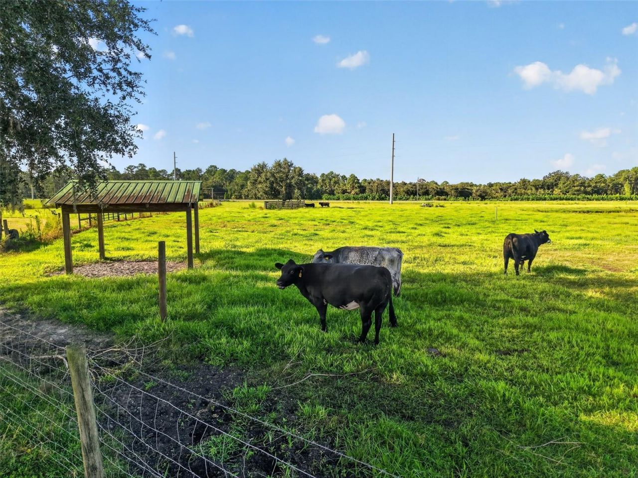 4027 N C 470, Lake Panasoffkee, FL 33538 Photo