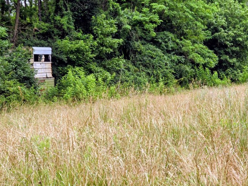 0 Highway 184, Sparta, KY 41086 Photo 11