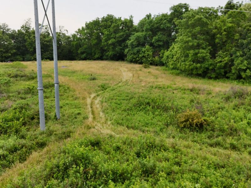 0 Highway 184, Sparta, KY 41086 Photo 30