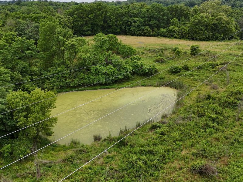 0 Highway 184, Sparta, KY 41086 Photo 38