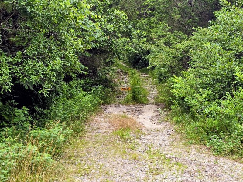 0 Highway 184, Sparta, KY 41086 Photo 8