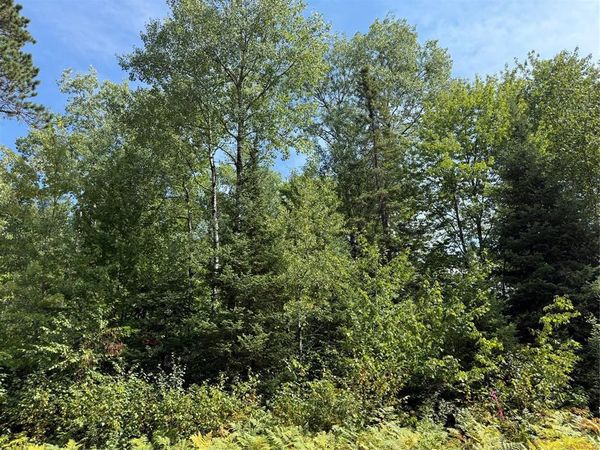 Lot 38 & 39 Stone Pine Drive, Cable, WI 54821