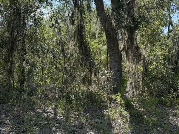 2199 N STAMPEDE DRIVE , BEVERLY HILLS, FL 34465