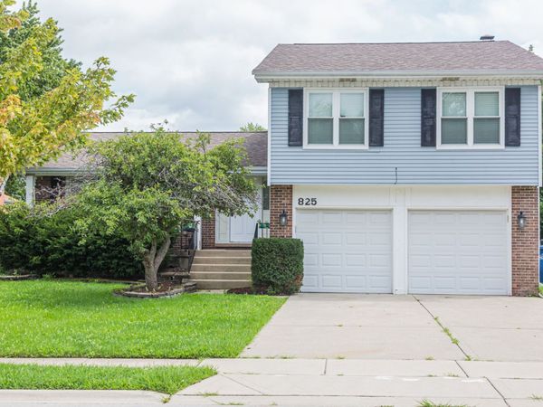 825 Pheasant Walk Drive, Schaumburg, IL 60193