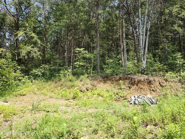 340 Swadis Drive , Unit 17R, Sevierville, TN 37876