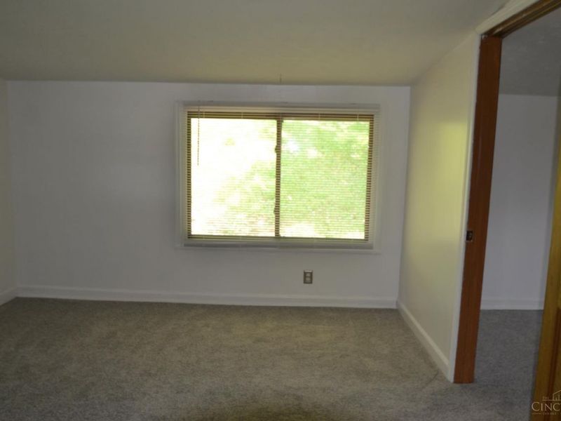802 Meadowlane Drive, Ripley, OH 45167 Photo 19