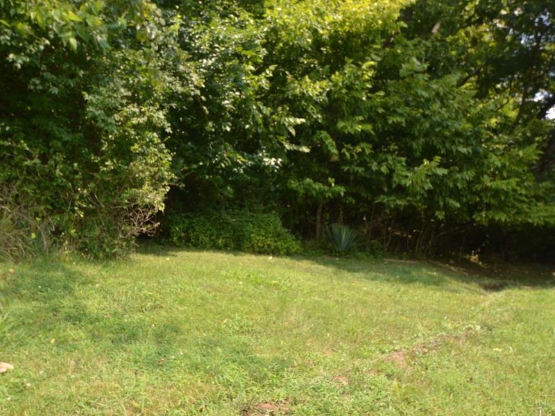 802 Meadowlane Drive, Ripley, OH 45167 Photo 35