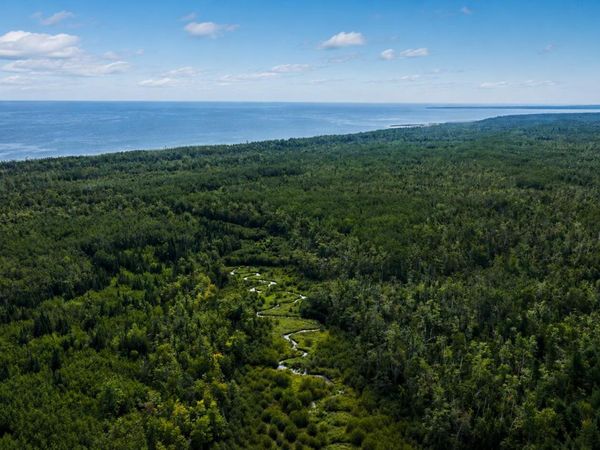 VL N Fork Road, Millersburg, MI 49759