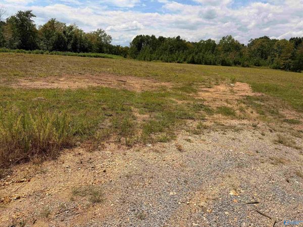 Lot 16 County Road 39, Piedmont, AL 36272