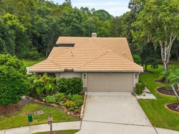 3600 DARSTON STREET , PALM HARBOR, FL 34685