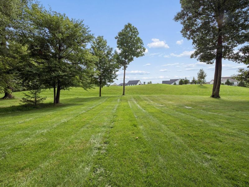 9245 Creighton Drive, Powell, OH 43065 Photo 57