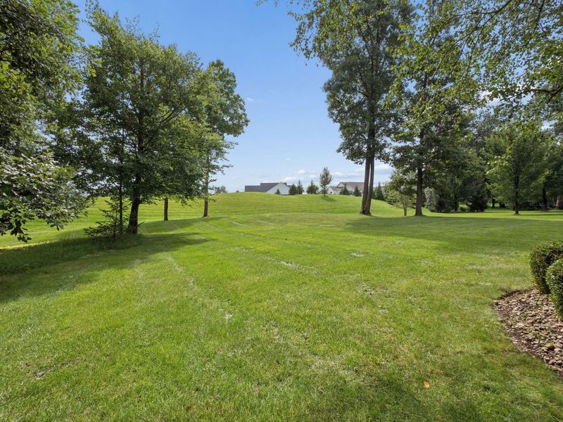 9245 Creighton Drive, Powell, OH 43065 Photo 63