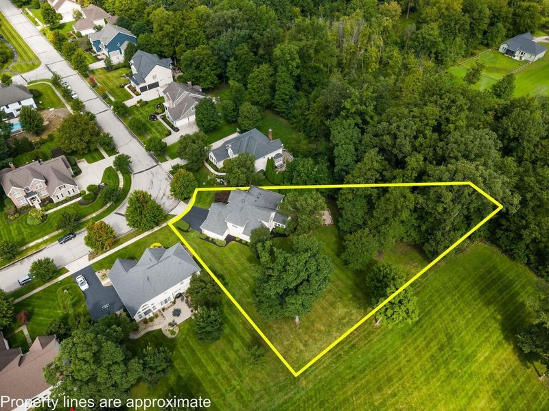 9245 Creighton Drive, Powell, OH 43065 Photo 71