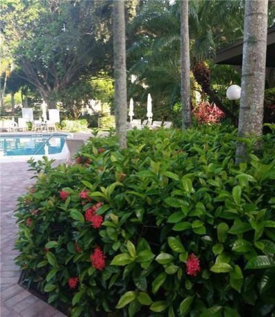 3100 N Course Lane, Unit 210, Pompano Beach, FL 33069 Photo