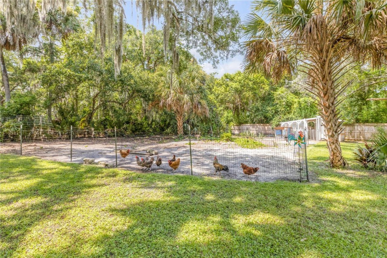 1931 Jungle Road , New Smyrna Beach, FL 32168 Photo