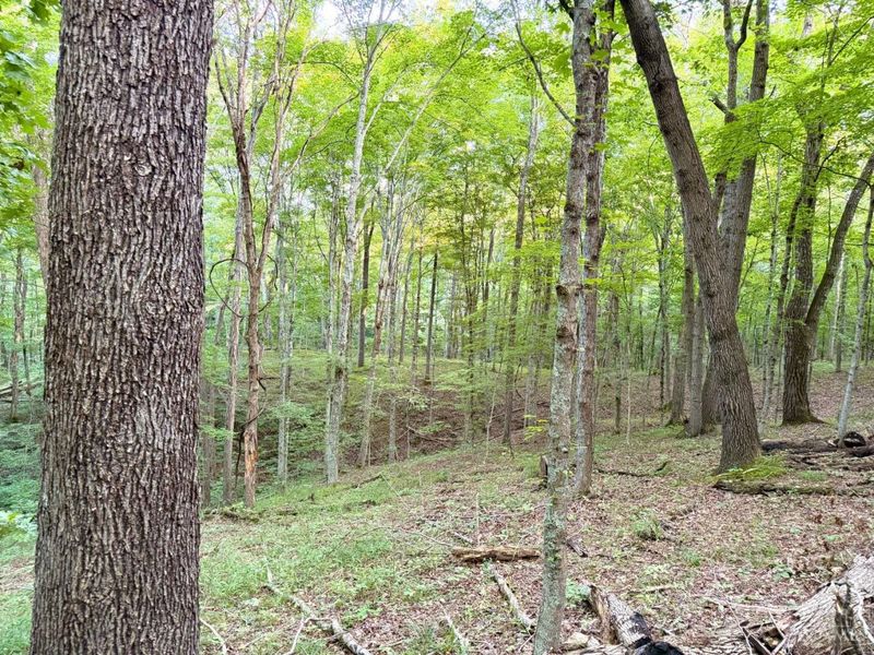 0 Keesee Road, Morgan Township, OH 45686 Photo 19