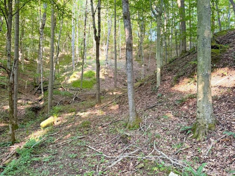 0 Keesee Road, Morgan Township, OH 45686 Photo 36
