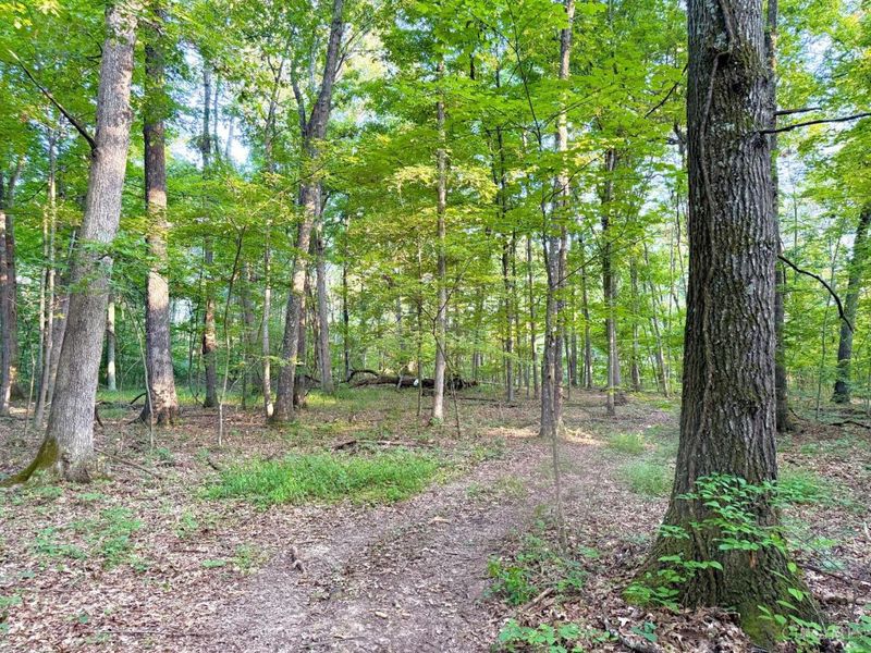 0 Keesee Road, Morgan Township, OH 45686 Photo 4