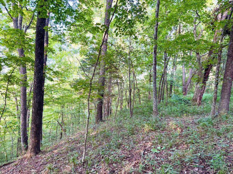 0 Keesee Road, Morgan Township, OH 45686 Photo 52