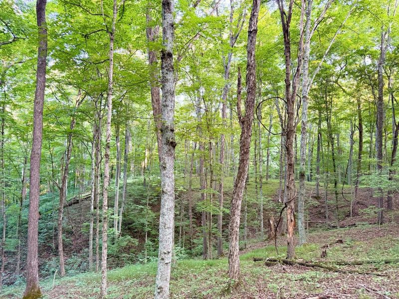 0 Keesee Road, Morgan Township, OH 45686 Photo 6