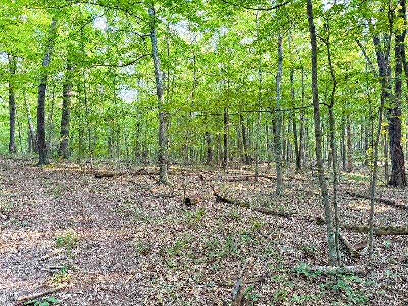 0 Keesee Road, Morgan Township, OH 45686 Photo 63