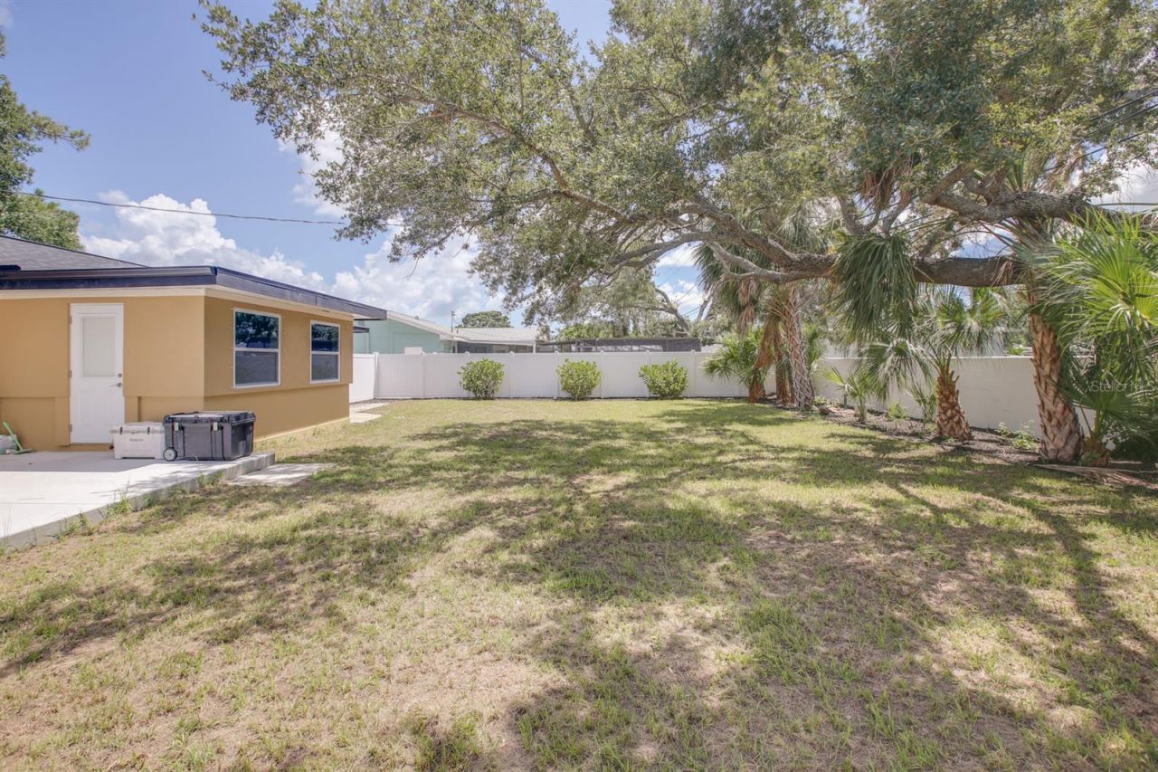 9046 3rd Street N, Saint Petersburg, FL 33702 Photo