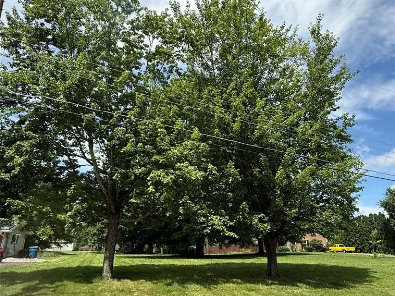2950 Hi Vue Drive , Akron, OH 44312 Photo 6