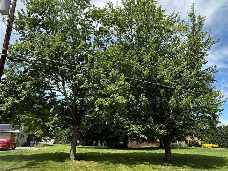 2950 Hi Vue Drive , Akron, OH 44312 Photo 7