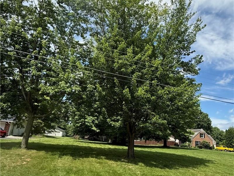 2950 Hi Vue Drive , Akron, OH 44312 Photo 8