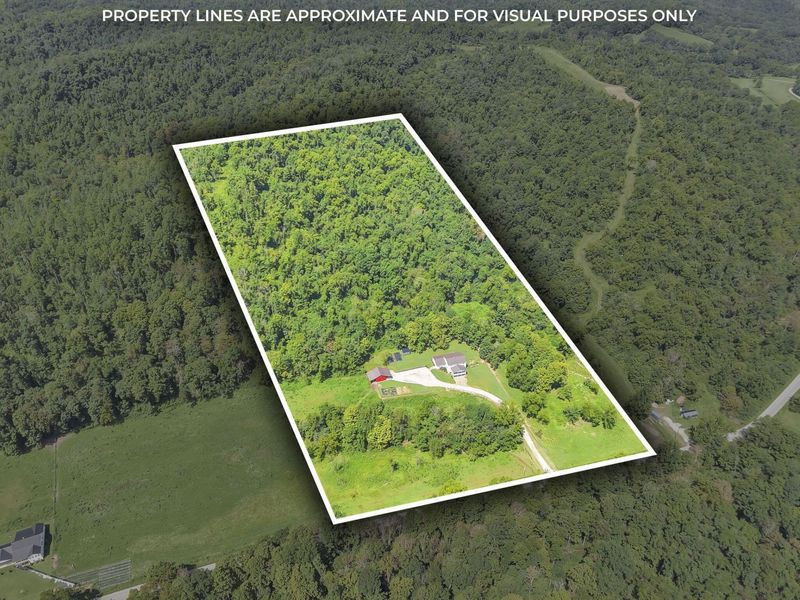 50023 Glady Road, Summerfield, OH 43788 Photo 1