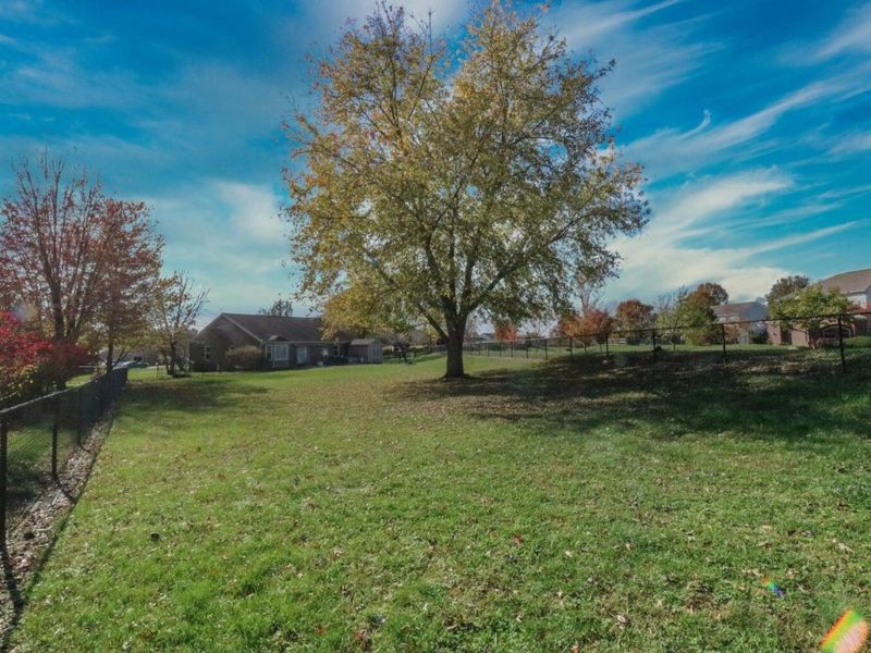 6293 Remington Cove, Burlington, KY 41005 Photo 7